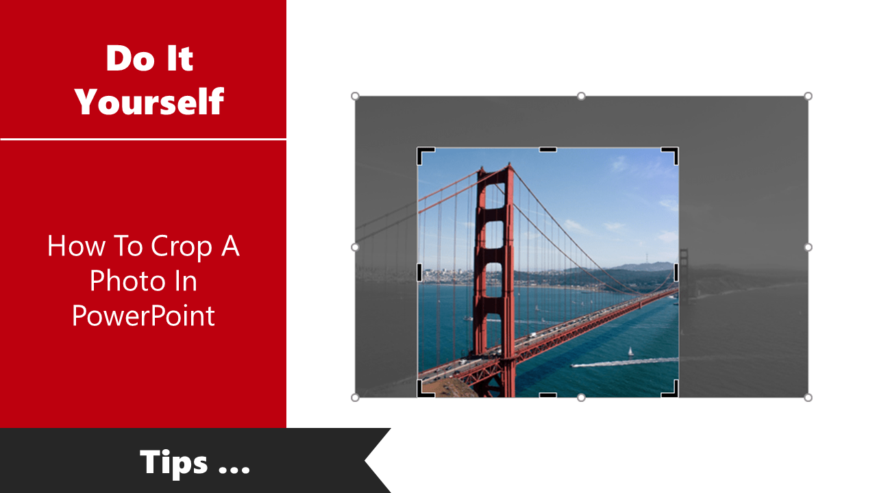How To Crop A Photo In PowerPoint